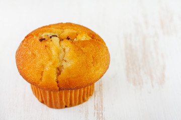 cupcake on white background