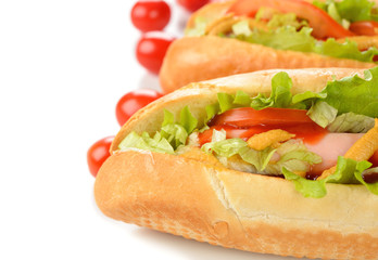Hotdog