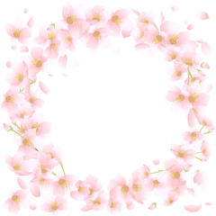 桜　円形