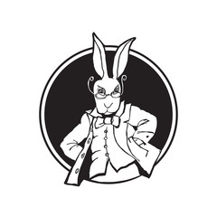 white rabbit © tkoko