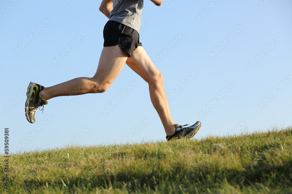 Wall mural side view of a jogger legs running on the grass