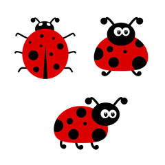 ladybug cartoon vector illustartion