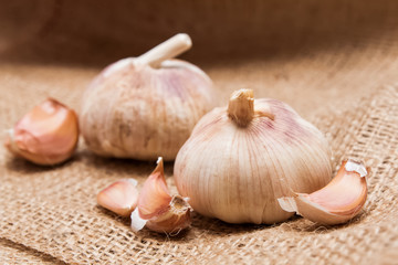 Garlic close up
