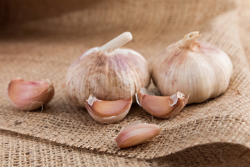 Garlic close up