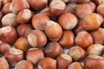 nuts on the white background