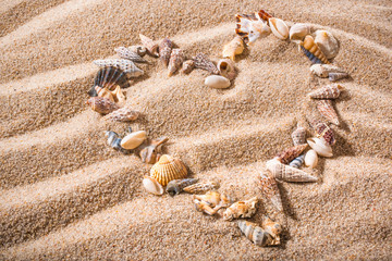 small seashells in the shape of a heart on a sandy beach