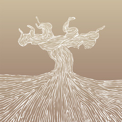 Grapevine trunk vector illustration