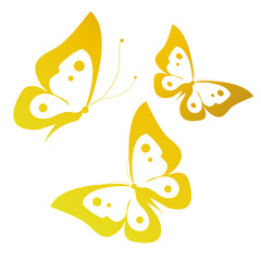 butterflies design