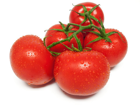 Strauchtomaten