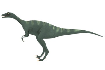 Obraz na płótnie Canvas realistic 3d render of eoraptor