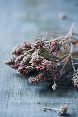 Wild Thyme; dried