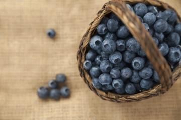 garden berries
