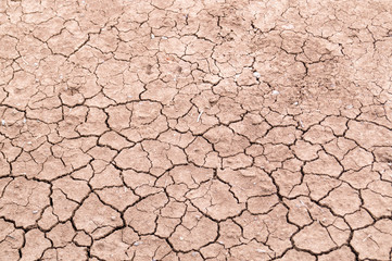 Dry cracked earth background, clay desert texture