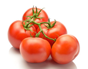 Pomidory na białym tle