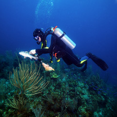 Scuba Diver Hunting Fishes