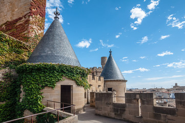 Olite Castle, Navarre