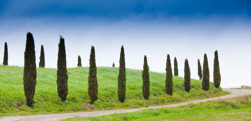 Obraz premium Tuscany