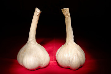 Two garlic bulbs on red and black background