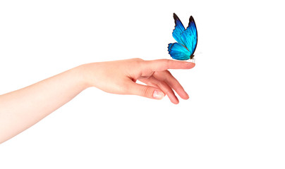 Naklejka premium butterfly on woman's hand. In motion