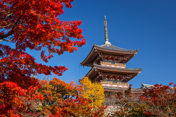 Kiyomizu Temple in Kyoto, japan