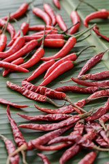 Two type of chili on banana leaf, dry and fresh. Selective focus