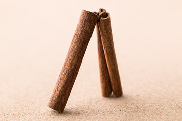 Two cinnamon sticks on corkwood background. Space for text.