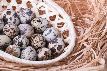Obraz premium Fresh quail eggs in a basket