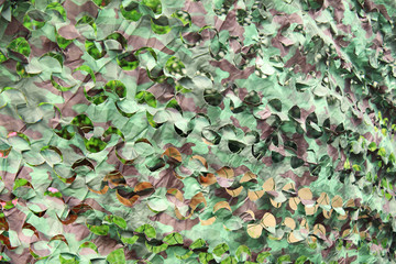 Camouflage Camp scene