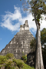 Tikal, Guatemala