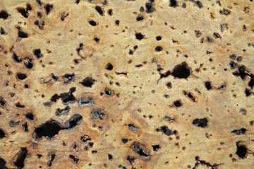 cork texture