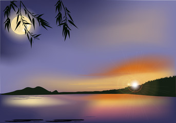 Fototapeta na wymiar tree branches at dark sunset above lake