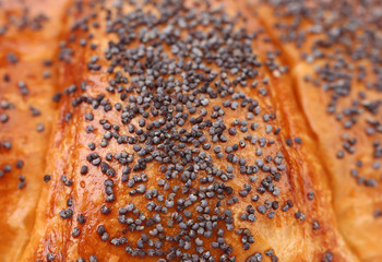 Closeup of appetizing croissants with poppy.