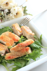 grilled chicken on baby leaf salad