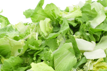 mesclun, a mix of assorted salad leaves