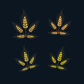 Vector Ears of Wheat Set on Dark Background