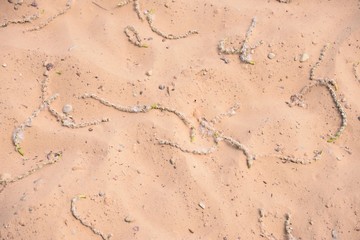 Sand