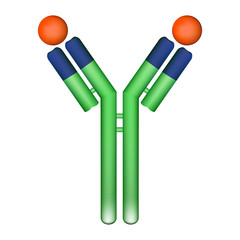 Antibody molecule with antigen
