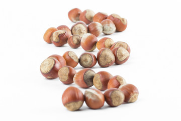 nuts on the white background
