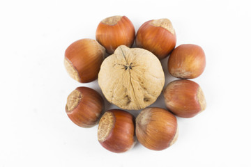 nuts on the white background