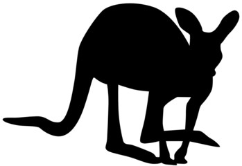 Känguru