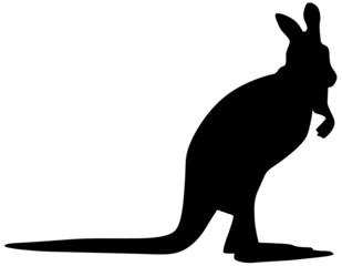 Känguru