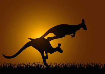 Obraz premium Känguru