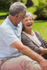 Happy senior couple sitting at park