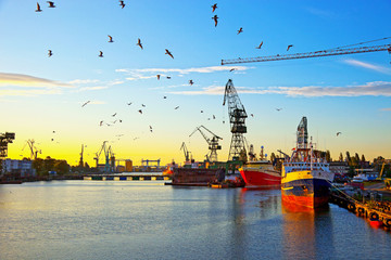 Fototapeta premium Shipyard in the morning light. Gdansk, Poland.