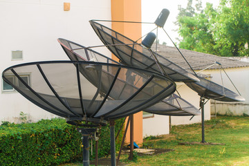 satellite dishes - radio telescopes on green grass