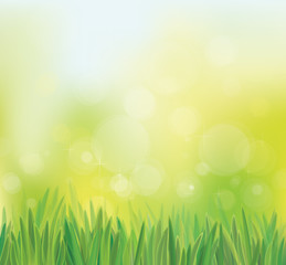 Fototapeta na wymiar Vector spring background with grass.