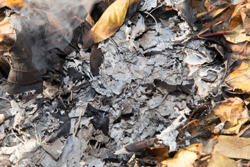 ash from the burning of leaves