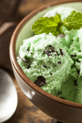 Organic Green Mint Chocolate Chip Ice Cream