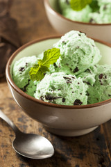Organic Green Mint Chocolate Chip Ice Cream