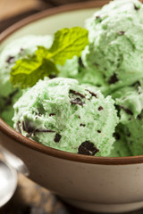 Organic Green Mint Chocolate Chip Ice Cream